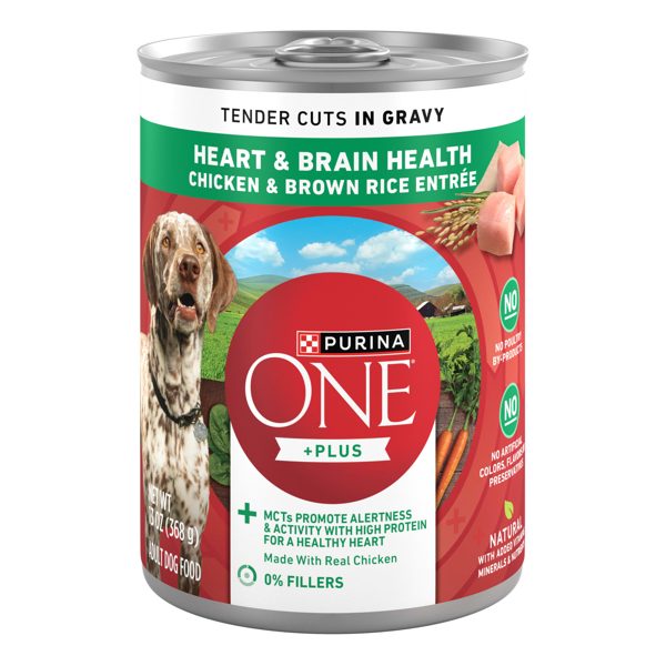 Purina ONE Plus Tender Cuts in Gravy Heart and Brain Chicken and Brown Rice Entree Natural with Added Vitamins and Minerals Wet Dog Food, 13 oz Can