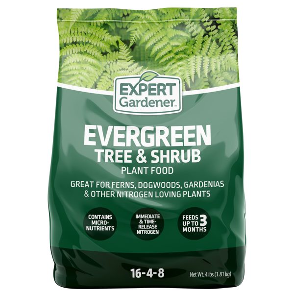 Expert Gardener Evergreen Tree and Shrub Plant Food, 16-4-8 Fertilizer, 4 lb.