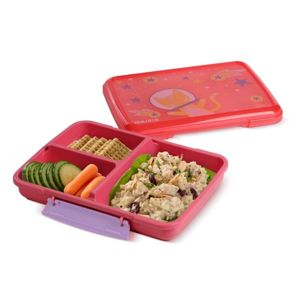 Rubbermaid Pack & Go Space Kitty Popsicle Pink 820 mL Large Divided Snack Container, Food Storage Containers, Plastic Containers for Food