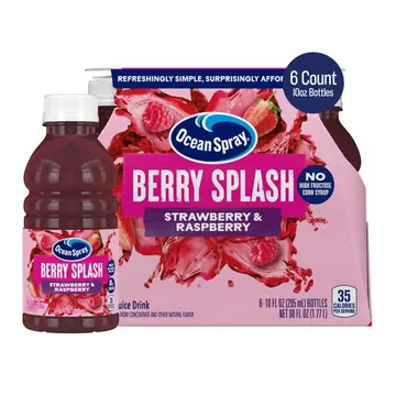 Ocean Spray® Berry Splash – Strawberry & Raspberry 10 fl oz Bottle, 6Pack